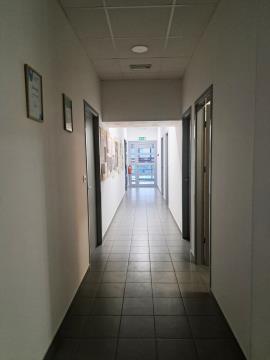 Photo (11)